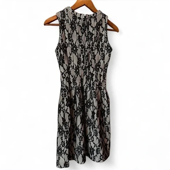 HD in Paris Black Lace Mini Dress - Picture 5 of 5